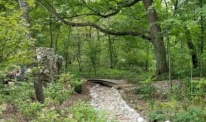 Hawthorn Hollow Nature Sanctuary and Arboretum