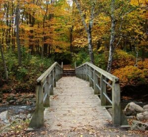 Petrifying Springs Park