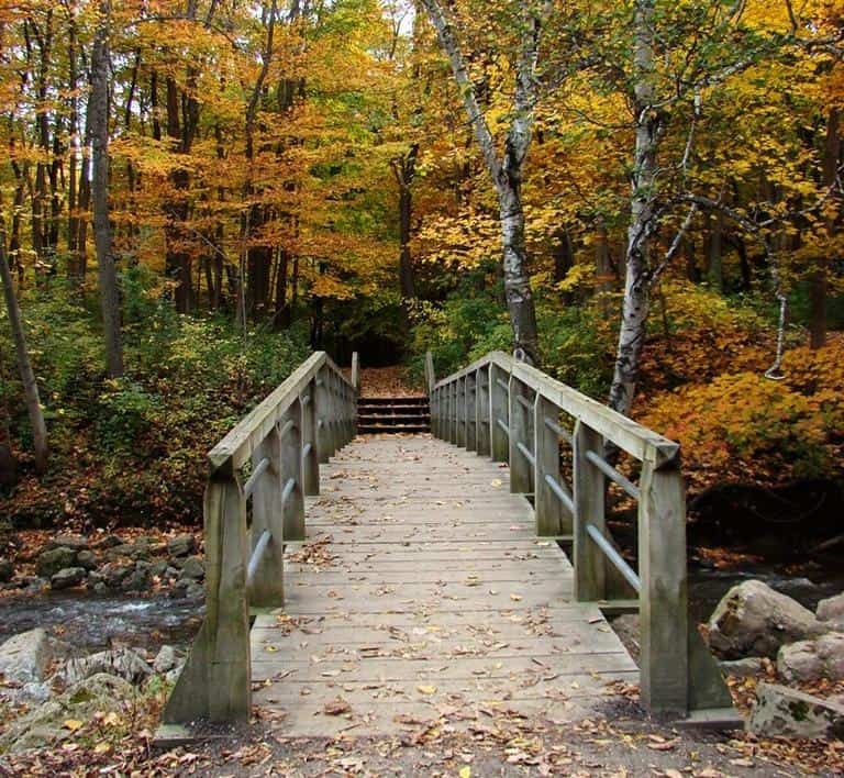 Petrifying Springs Park Safe Storage Club